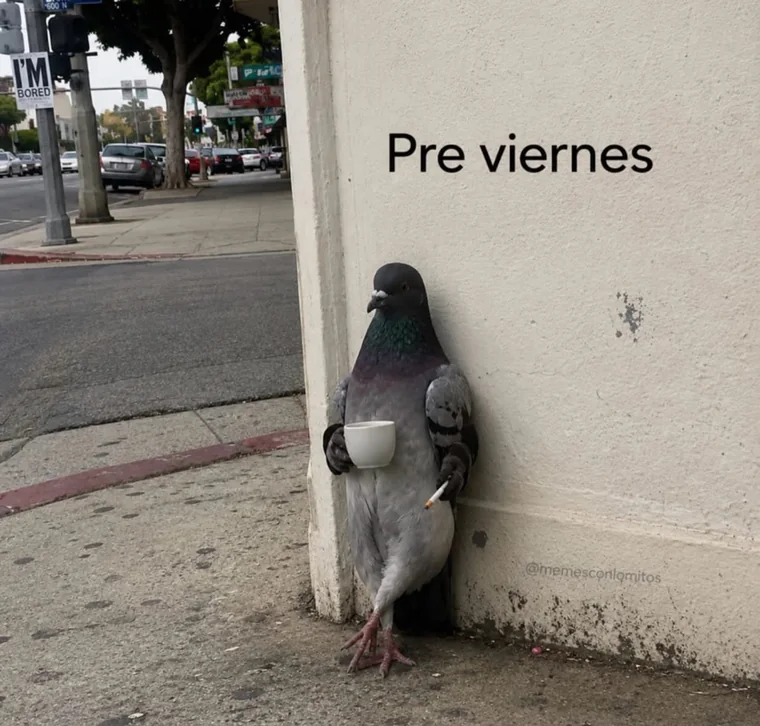 Meme de la semana